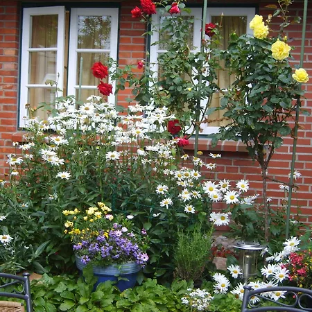 Ferien Unterm Reetdach Whg 01 * Oevenum